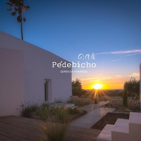 Pedebicho Serra Da Arrabida Country Inn And Studios อาเซย์เตา ภายนอก รูปภาพ