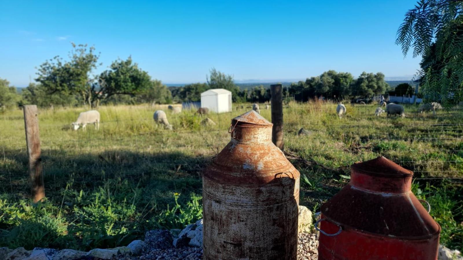 Pedebicho Serra Da Arrabida Country Inn And Studios อาเซย์เตา ภายนอก รูปภาพ